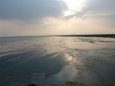 花呗套现的常见方法与风险提示：这些操作千万别试！