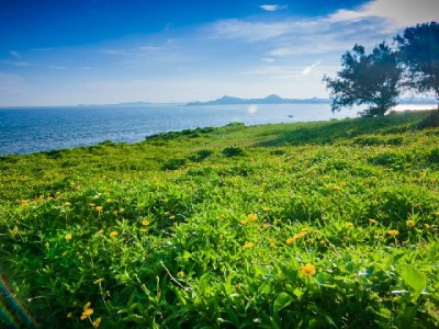 微信付款遇花呗限制？富信掌柜聚合支付破解商户收款难题