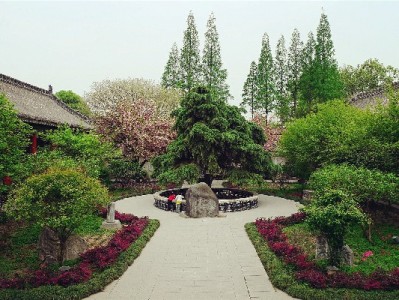 抖音月付商家收费规则全解析 安出掌柜助力优化成本攻略