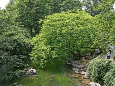 富信掌柜+蚂蚁花呗套餐：智能管账让消费更从容