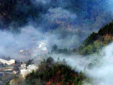 白条套现最低成本藏陷阱？正规平台“赏财信商”教你安全用信