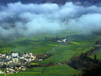 抖音月付额度能套现？这些风险你必须提前了解！