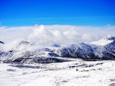 拒绝违规花呗自套！出财小神教你合规资金周转新方法