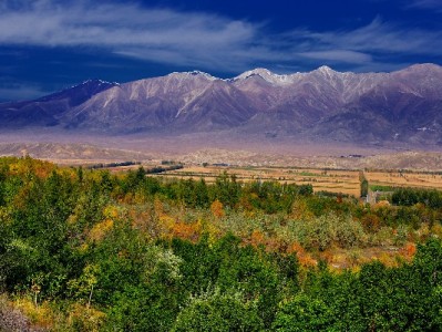 微信“类花呗”付款怎么用？分付指南+富信掌柜管理更省心