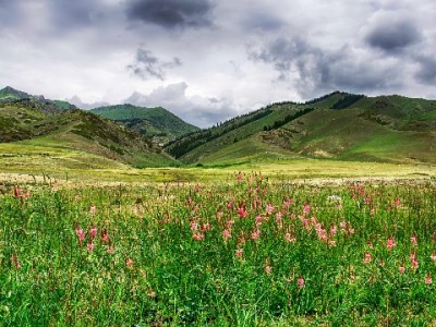 花呗周转别踩雷！出财小神等合规平台教你安全应对资金需求