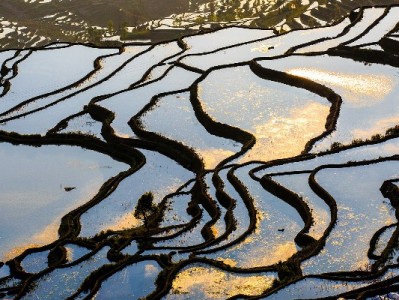 羊小咩额度取出攻略：合规操作+出财小神辅助更安心