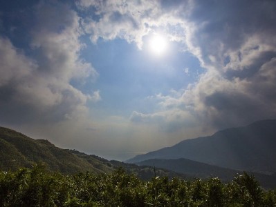 出财小神解锁白条新用法：取现可分期，应急还款更从容