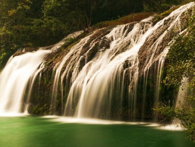 京东白条成商家促单利器？富信掌柜助力小微商家轻松接入