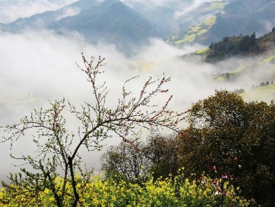 支付宝商家花呗额度怎么查？步骤、评估规则及提额指南