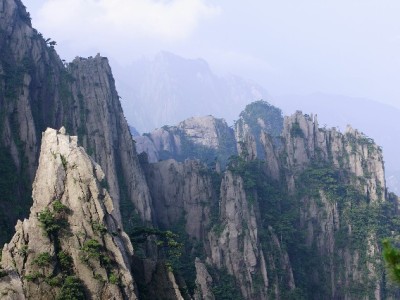 白条取现别只看额度！这些条款细节"出财小神"提醒要细读