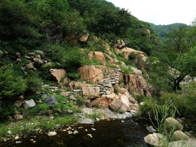 商家抖音月付取消全流程详解：操作步骤+注意事项（附工具参考）