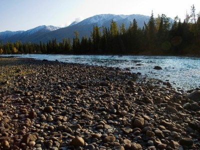 出财小神助力苹果商家开通花呗码，分期消费订单涨20%