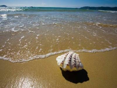 抖音月付套现点位怎么看？高低背后的风险与警示