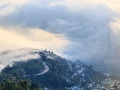 南京医保提现攻略：这3类情况可申请，流程步骤全解析