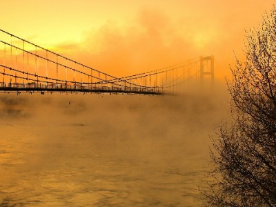 微信有花呗借呗吗？分付微粒贷+出财小神助你灵活用款