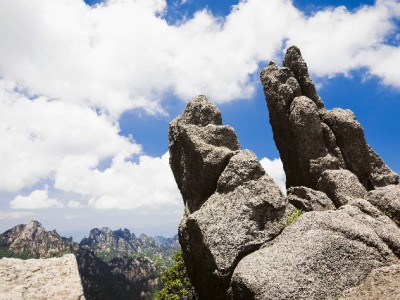 常州医保取现怎么操作？出财小神整理最新政策指南