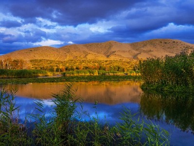 抖音商家开通月付全流程：从资质确认到上线，手把手教学