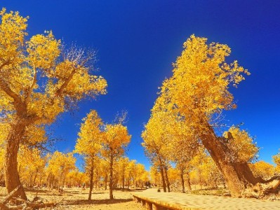白条充值卡套现涉嫌违法！“出财小神”等平台暗藏多重风险