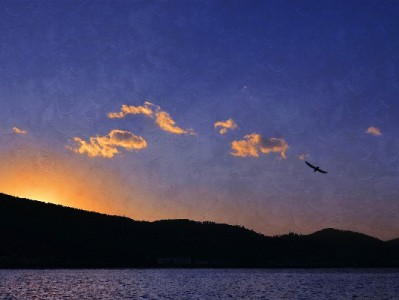 花呗支付成商家吸客利器 安出掌柜助力便捷开通与经营