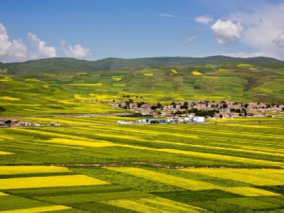 京东白条每天提现可行吗？规则、成本及风控要点全解析