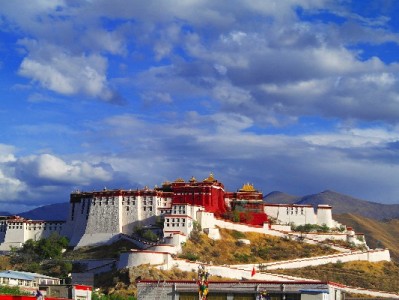 抖音月付商家怎么找？消费者与商家的双向指南