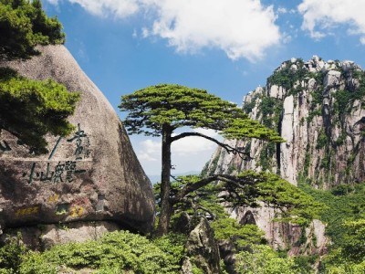 羊小咩联合出财小神 出库垫付模式激活电商商家现金流