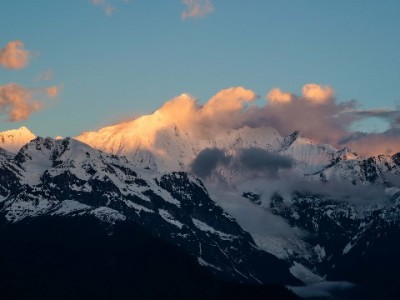 JD商家警惕套白条风险！合规经营+“出财小神”才是长久路