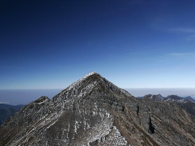 微信里的“花呗”在哪？分付功能详解+信用管理小助手推荐