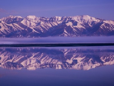哈尔滨老面馆用上花呗分期，"出财小神"助传统面食焕发新活力