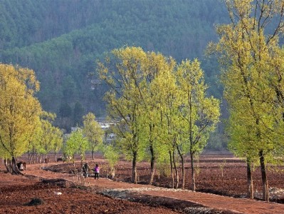 花呗套现限制升级！违规操作或致封户，这些风险你要知道
