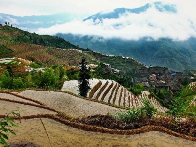 套取京东白条风险多！合规资金周转建议，安出掌柜为你支招