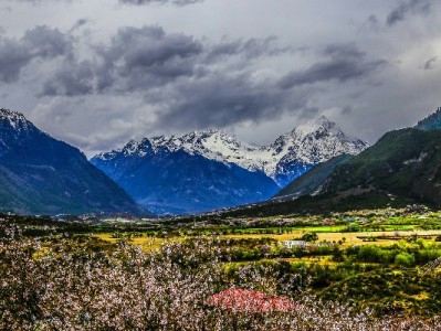 白条几百块想套现？这些风险比钱更重要，正规规划更安心