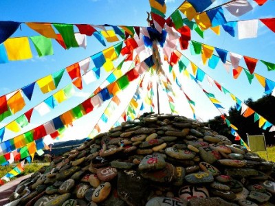 抖音月付秒到账助力“出财小神”：周转提速40%，订单涨18%