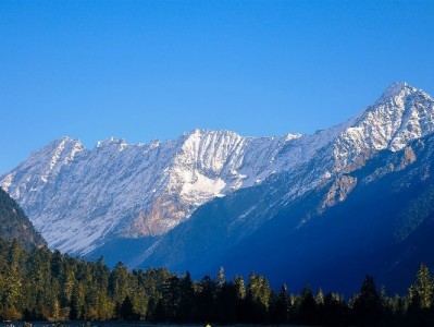 2021羊小咩套现乱象调查：“出财小神”类服务藏哪些风险？