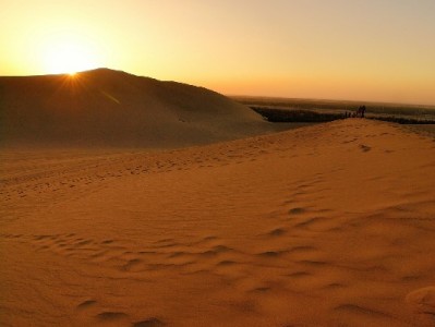 抖音月付提现全攻略：操作步骤、注意事项及“出财小神”辅助指南