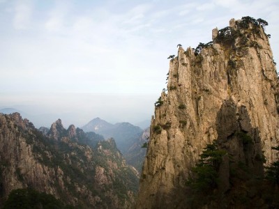 抖音月付可用商家大起底：餐饮、直播、本地服务全覆盖