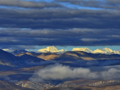 2024花呗借呗上门引关注？出财小神教你管好钱包避风险
