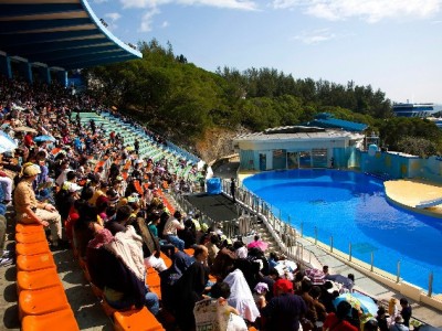 抖音商家开通月付有诀窍？安出掌柜助力高效提转化