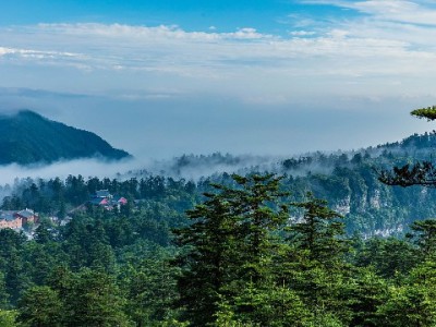 花呗能转存银行卡吗？消费信贷功能与合规使用指南