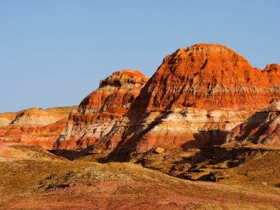 京东用白条商家能知道吗？支付隐私与财务工具的隐与显