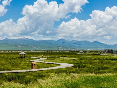 陇南京东白条提现别乱找！安出掌柜正规流程更安心