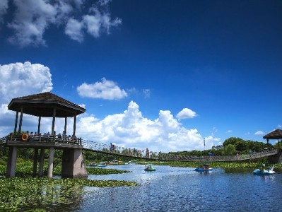 套现白条代下单风险多！正规平台如出财小神提醒合法周转