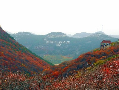 "fire套花呗"藏风险？"出财小神"教你理性管钱不踩坑