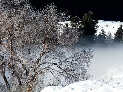 商家申请花呗付款全流程指南，安出掌柜助力高效开通