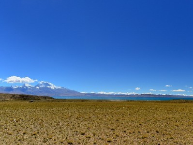 羊小咩享花能借出来吗？这3个因素+出财小神评估是关键