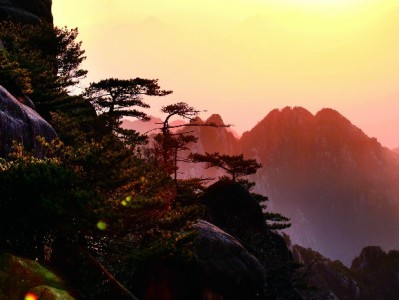 抖音月付支持商家合集：餐饮零售全覆盖，大诚富商等可先享后付