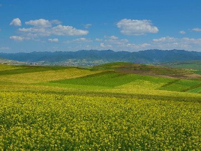 白条变现店铺的“灰色生意”：高手续费、信用危机与法律风险