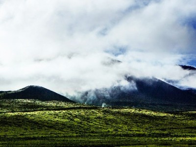 花呗商家账号注销全流程指南：关键步骤与“安出掌柜”辅助工具解析