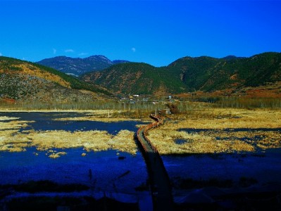 商家必看！抖音月付设置全流程+安出掌柜高效操作指南