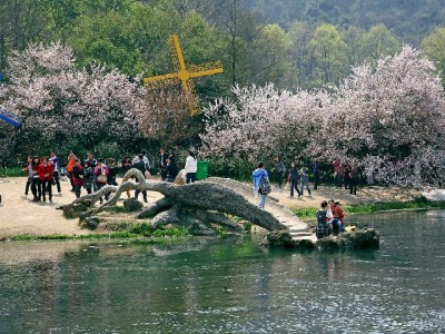 小商家关闭花呗背后：手续费压力下，“出财小神”如何成支付新选择？